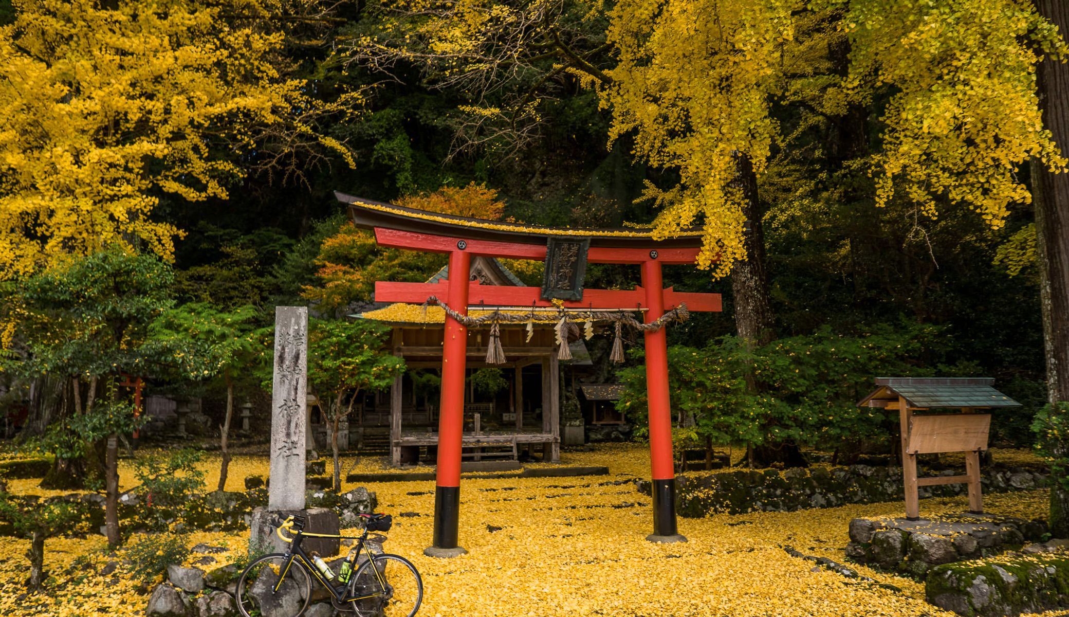 Japan