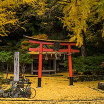 Japan