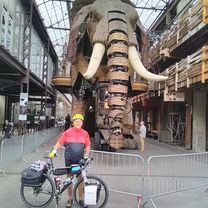 TDB 2018