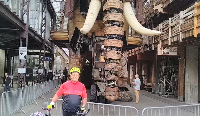 TDB 2018
