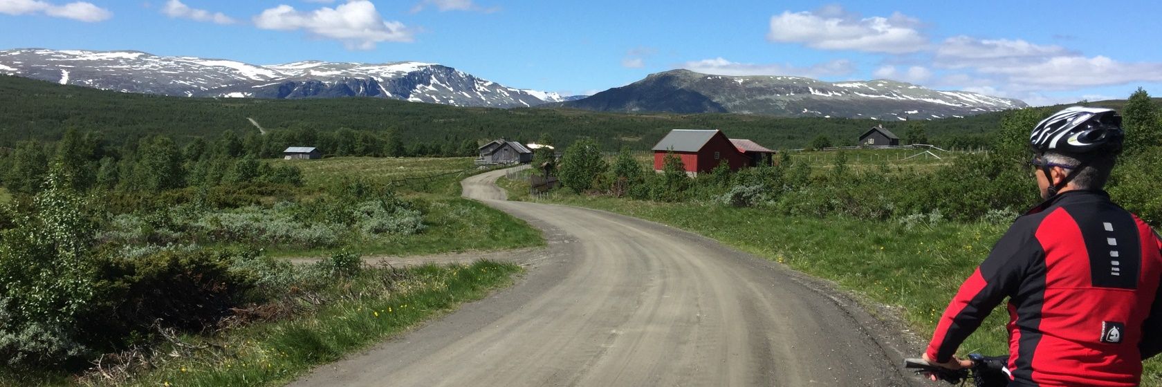 Golsfjellet og Valdres