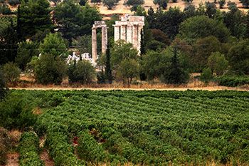 Nemea