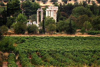 Nemea