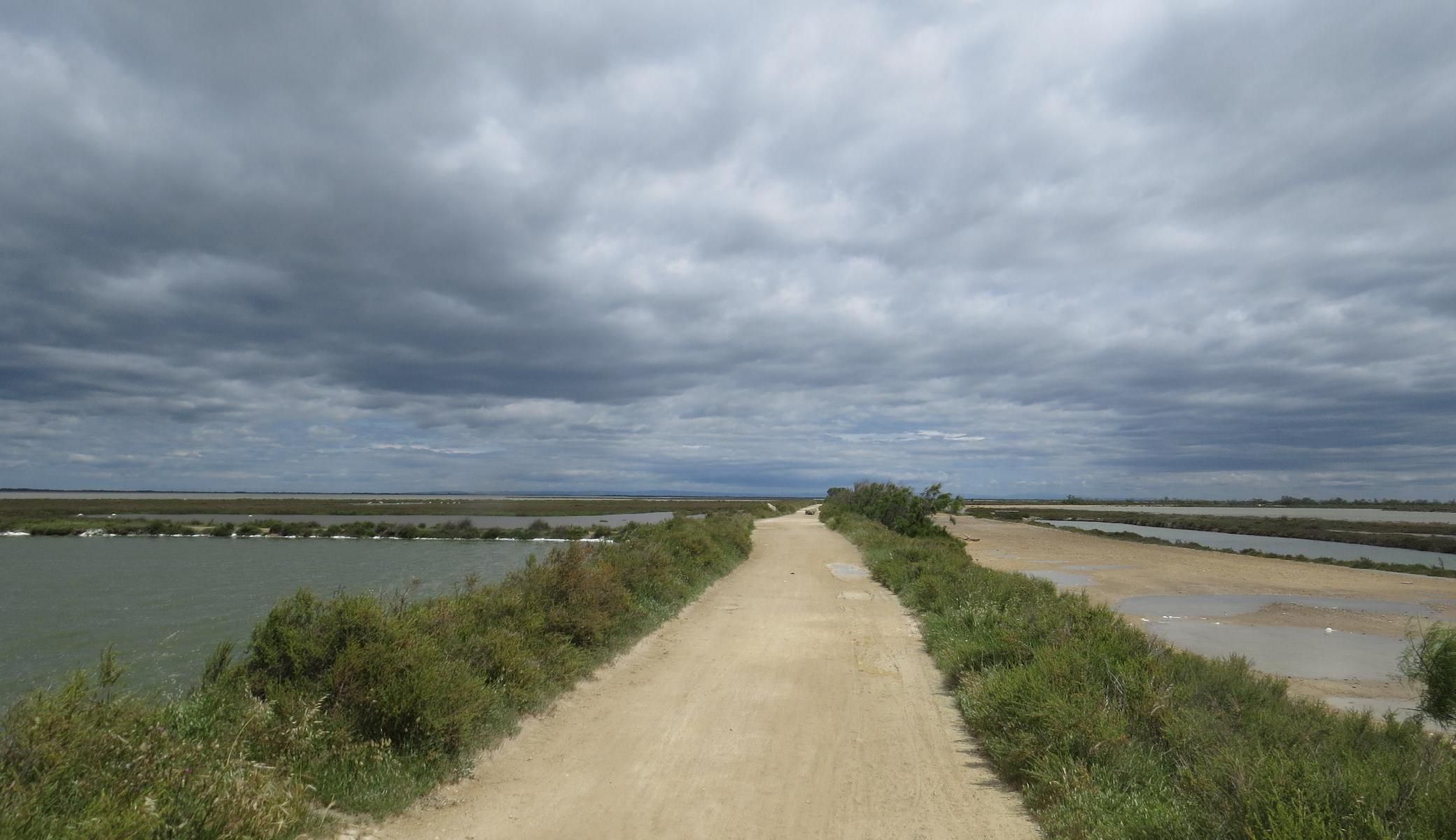 Camargue