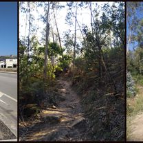 Camino portugues