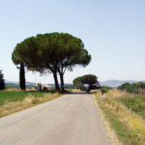2009_07 Toskánsko
