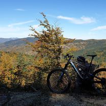 E-Bike