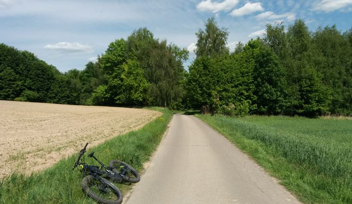VI TRR Białowieża-Lesko