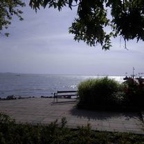 Balaton