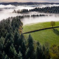 Parc naturel régional du Morvan