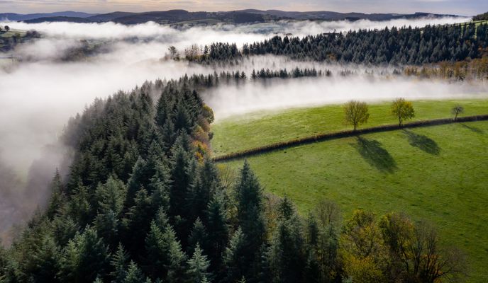 Parc naturel régional du Morvan