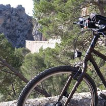Selva, Mallorca