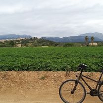 Búger, Mallorca