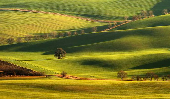 MORAVA