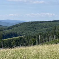 Vienna Hills
