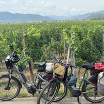 Alsace wine tour