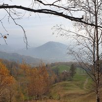 Biellese