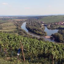 2017-08-28 - Weinfranken (Volkach-Fahr)