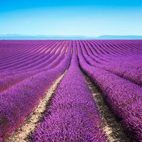 Graveltouren | Provence | France