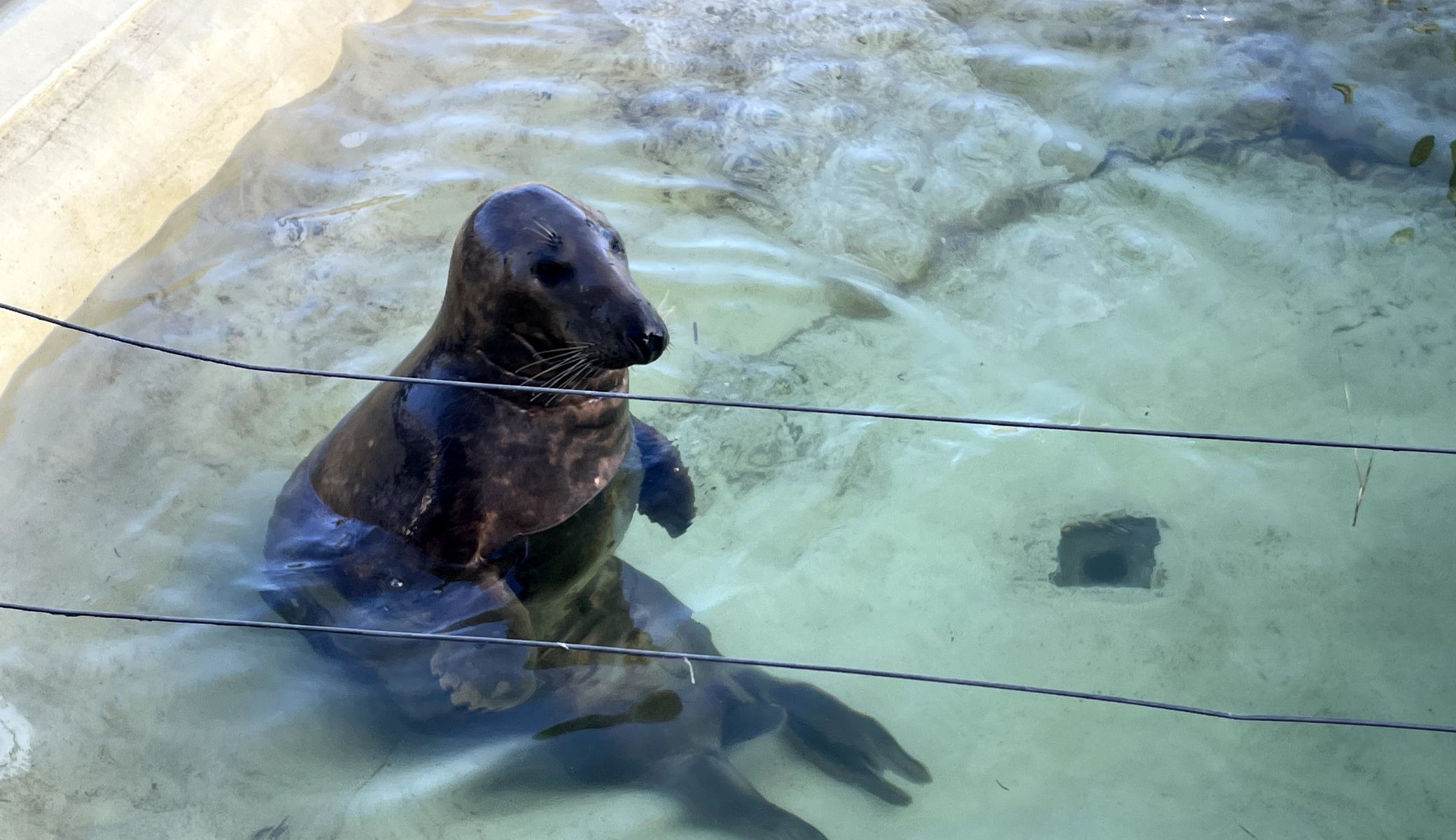 Von Stuttgart bis Breda