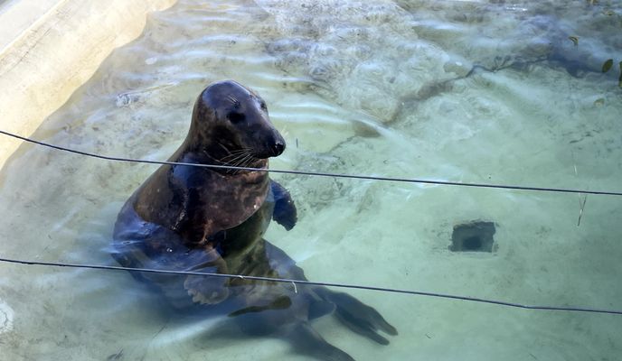 Von Stuttgart bis Breda