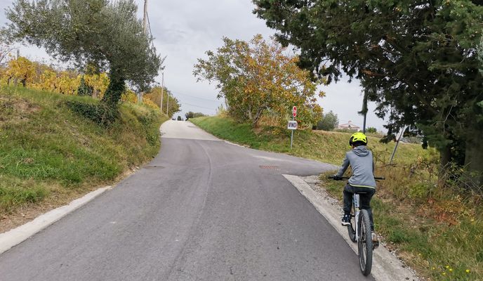 Photo 1 of the Bikemap route "Seča-Korte-Dragonja- MP Sečovlje- Seča"