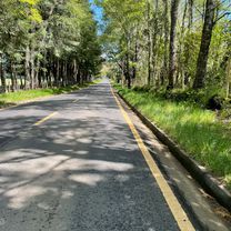 De Colo Colo 1814, Villarrica a Pasaje Río Cau Cau, Villarrica
