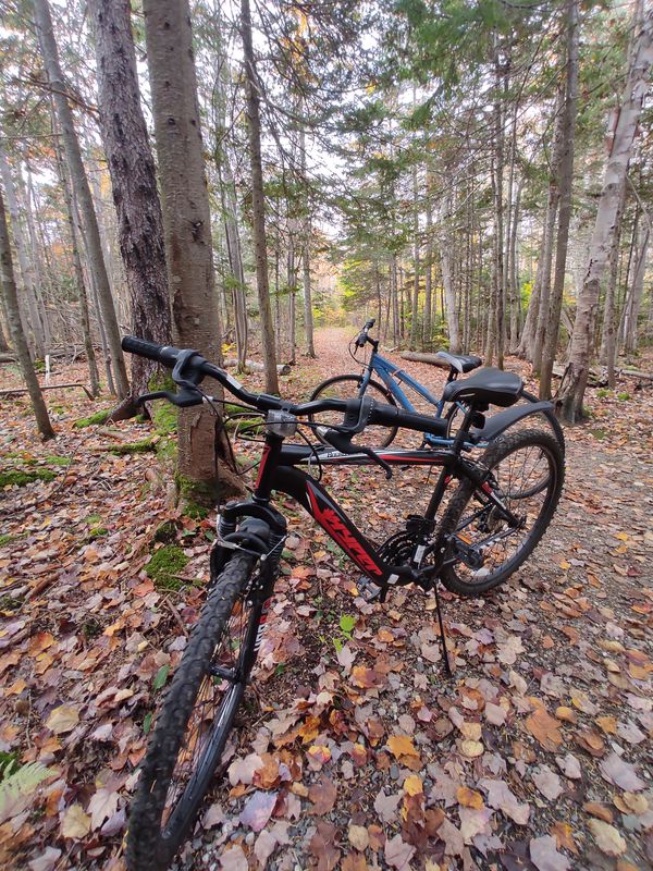 baille Ard Trail
