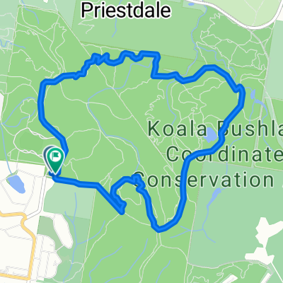 Pedal na Veia Daisy Hill
