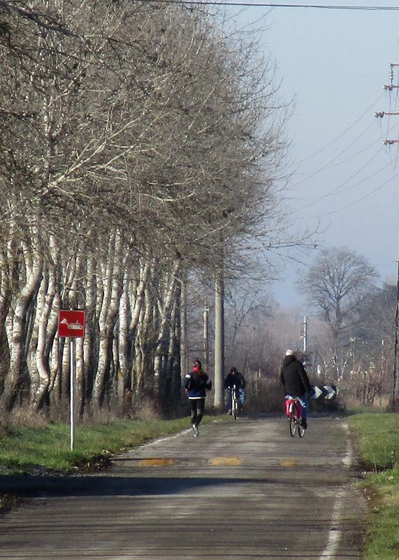 c) Via Emilia ciclabile RE, Sant'Ilario - Rubiera