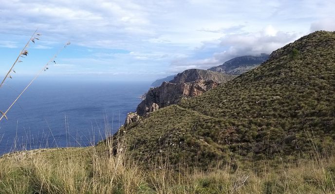 Foto 2 der Bikemap-Route "Mallorca a peu: puig de ses Basses des del coll de sa Gramola"