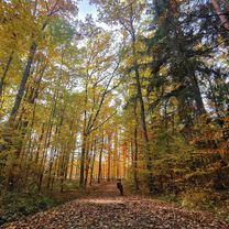 Eine Anspruchsvolle aber schöne Tour