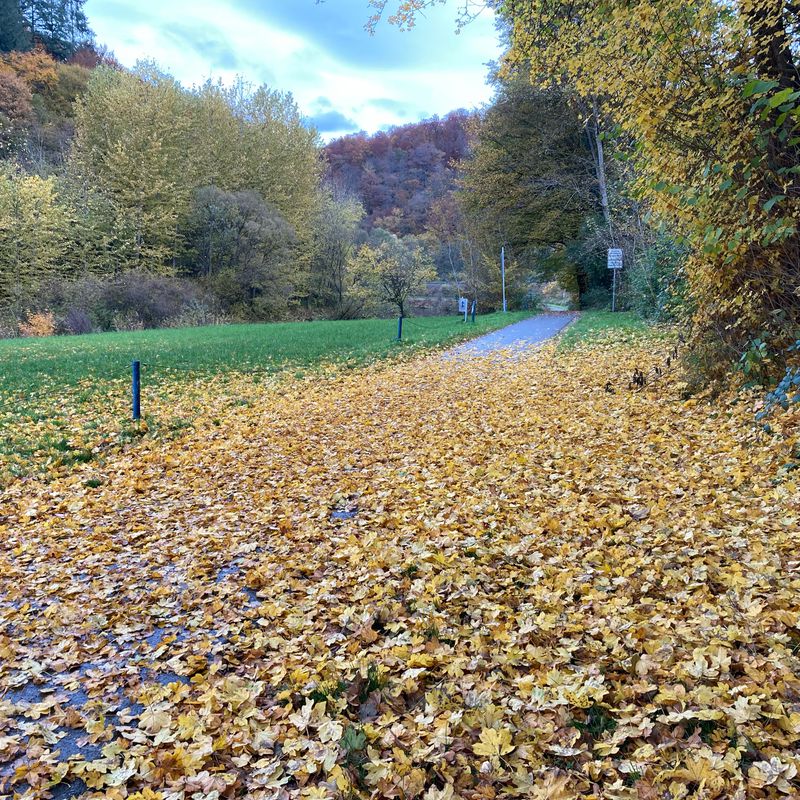 Hohe Straße 6, Weilburg nach Wilhelm-Picker-Straße 1, Weilburg