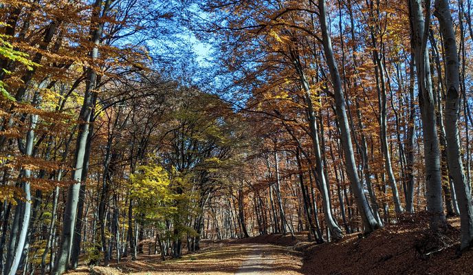 Photo 2 de l’itinéraire Bikemap « Strada Horea Teculescu 62, Sighișoara to Strada Tăbăcarilor 9, Sighișoara »
