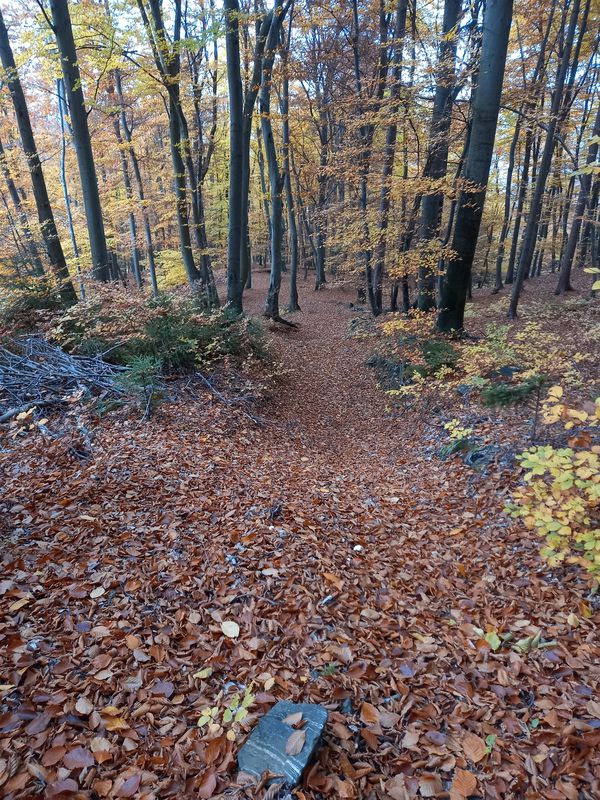 yazo trail od ilegalke do golfa za uredit