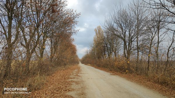 Foto 2: Сергій Дерев'янко