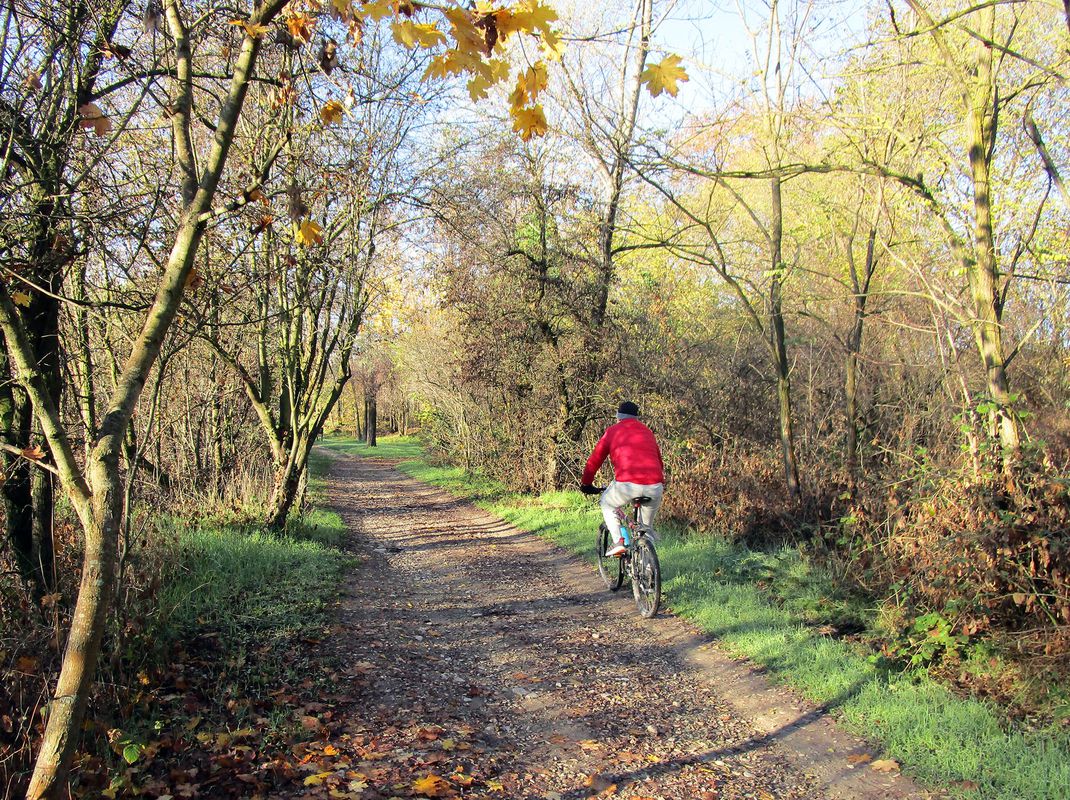 d) Greenway Torrente Tiepido (MO)
