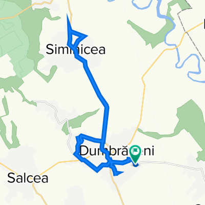 DC65, Dumbraveni to DC65, Dumbraveni