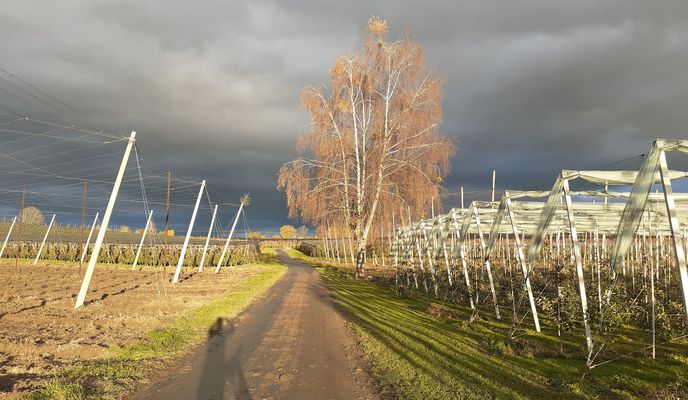 Photo 2 de l’itinéraire Bikemap « Ravensburg - Kressbronn - Runde »