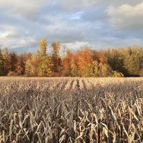 Ravensburg - Kressbronn - Runde