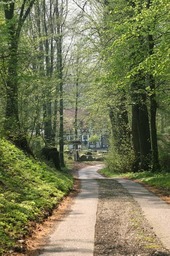 Highlight 2 along the Bikemap route "Schieren See"