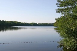 Highlight 1 along the Bikemap route "Schieren See"