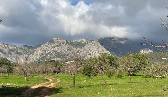 Photo 1 of the Bikemap route "Mallorca: Palma-Bunyola-Orient-Alaró-Santa Maria-Palma"
