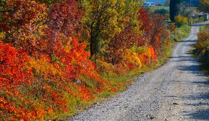 Photo 2 of the Bikemap route "Colorful land of olives and vineyards MTB"