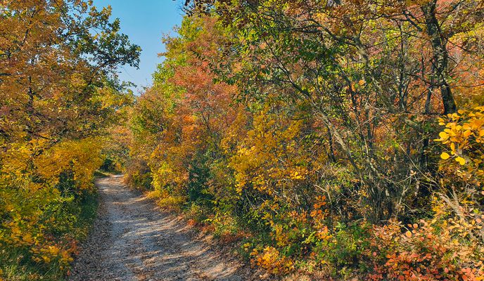 Photo 1 of the Bikemap route "Colorful land of olives and vineyards MTB"