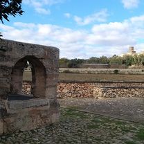 Mallorca a peu: pous i molins d'Ariany
