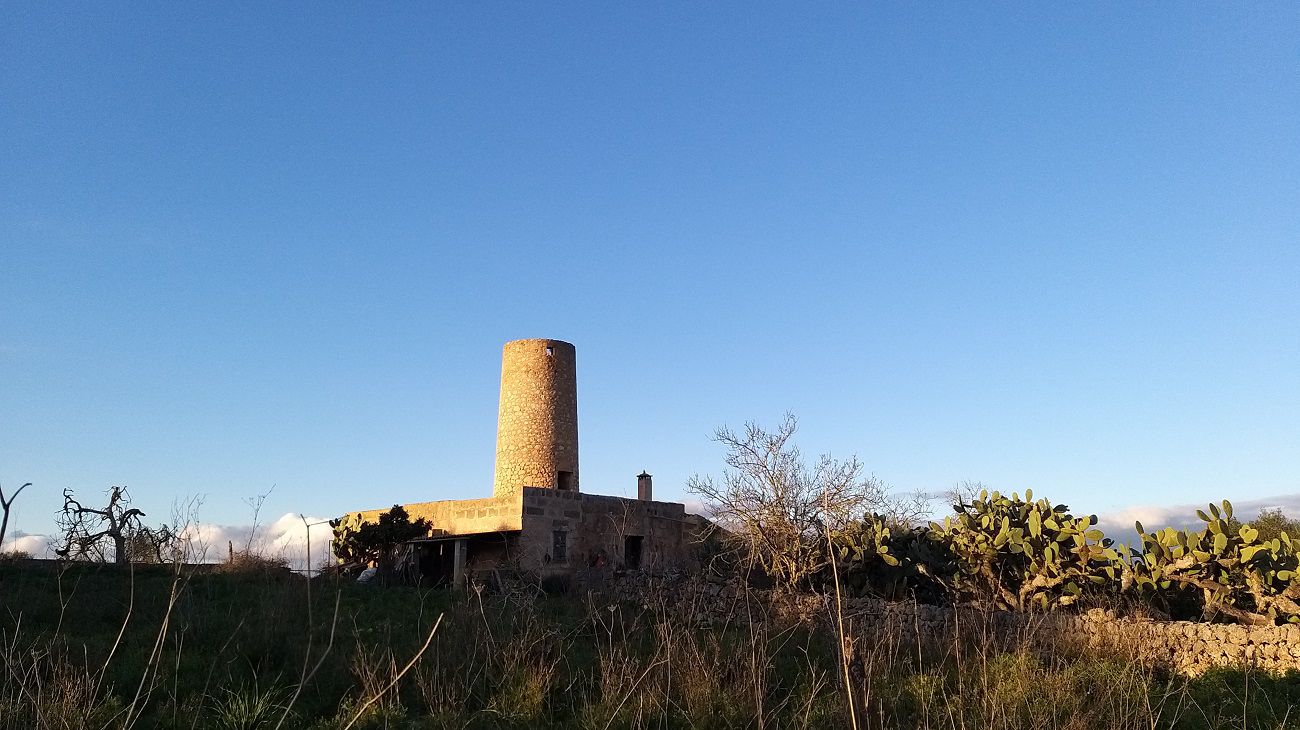 Mallorca a peu: pous i molins d'Ariany