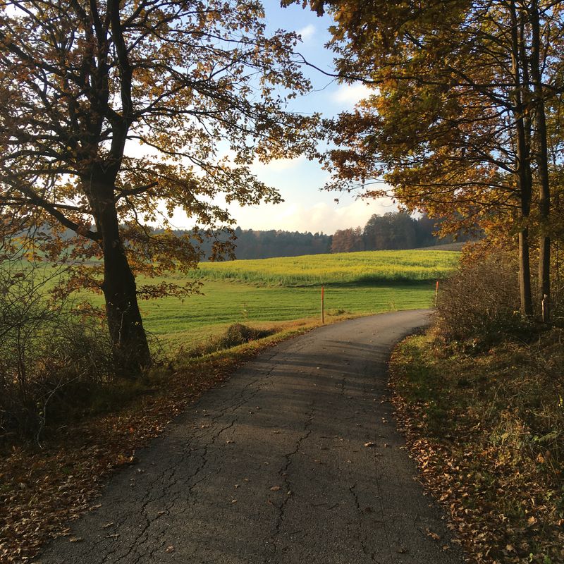 Augsburg - Westliche Wälder und zurück