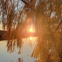 DC32A 88, Cojești to DC32A 88, Cojești