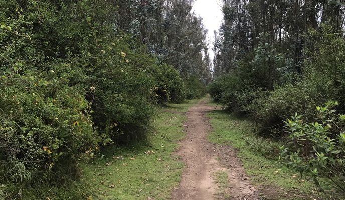 Photo 1 of the Bikemap route "chaquiñan sur"